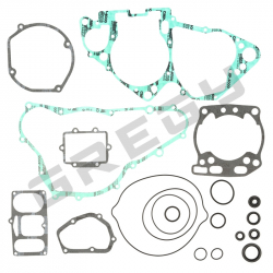 Sada těsnění SUZUKI RM 250 96
