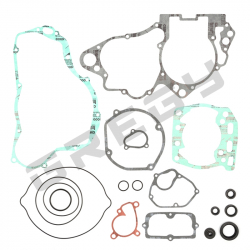 Sada těsnění SUZUKI RM 250 03