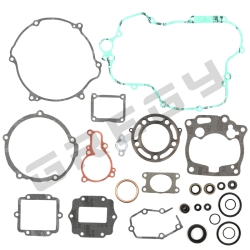 Sada těsnění KAWASAKI KX 125 01